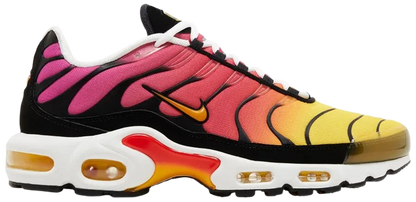 Air Max Plus Rainbow