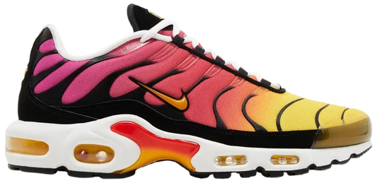 Air Max Plus Rainbow
