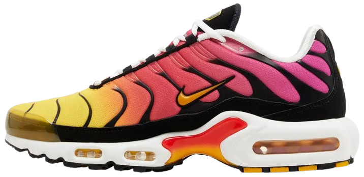 Air Max Plus Rainbow