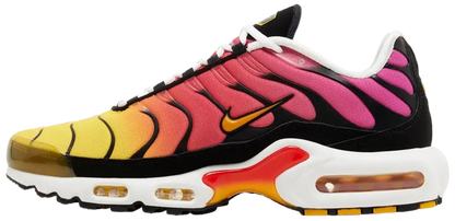 Air Max Plus Rainbow
